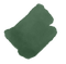 Eucalyptus