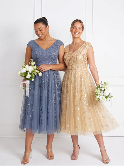 Sequin Cap Sleeve A-Line Dress