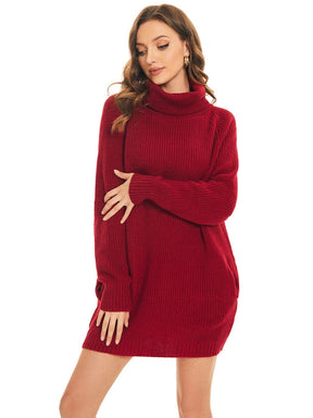 Long Sleeve Turtleneck Short Sweater Dress With Pocket