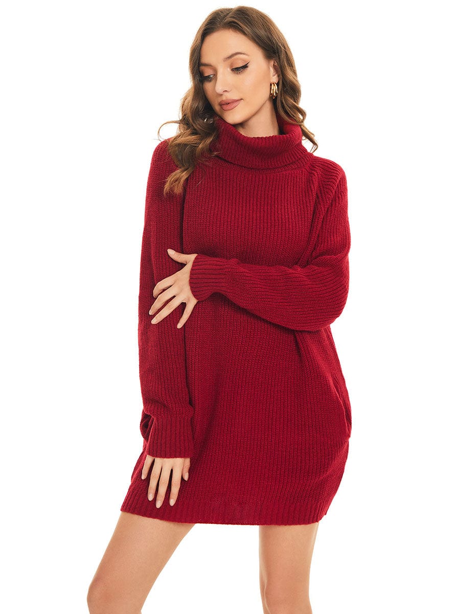 Long Sleeve Turtleneck Short Sweater Dress With Pocket