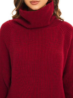 Long Sleeve Turtleneck Short Sweater Dress With Pocket