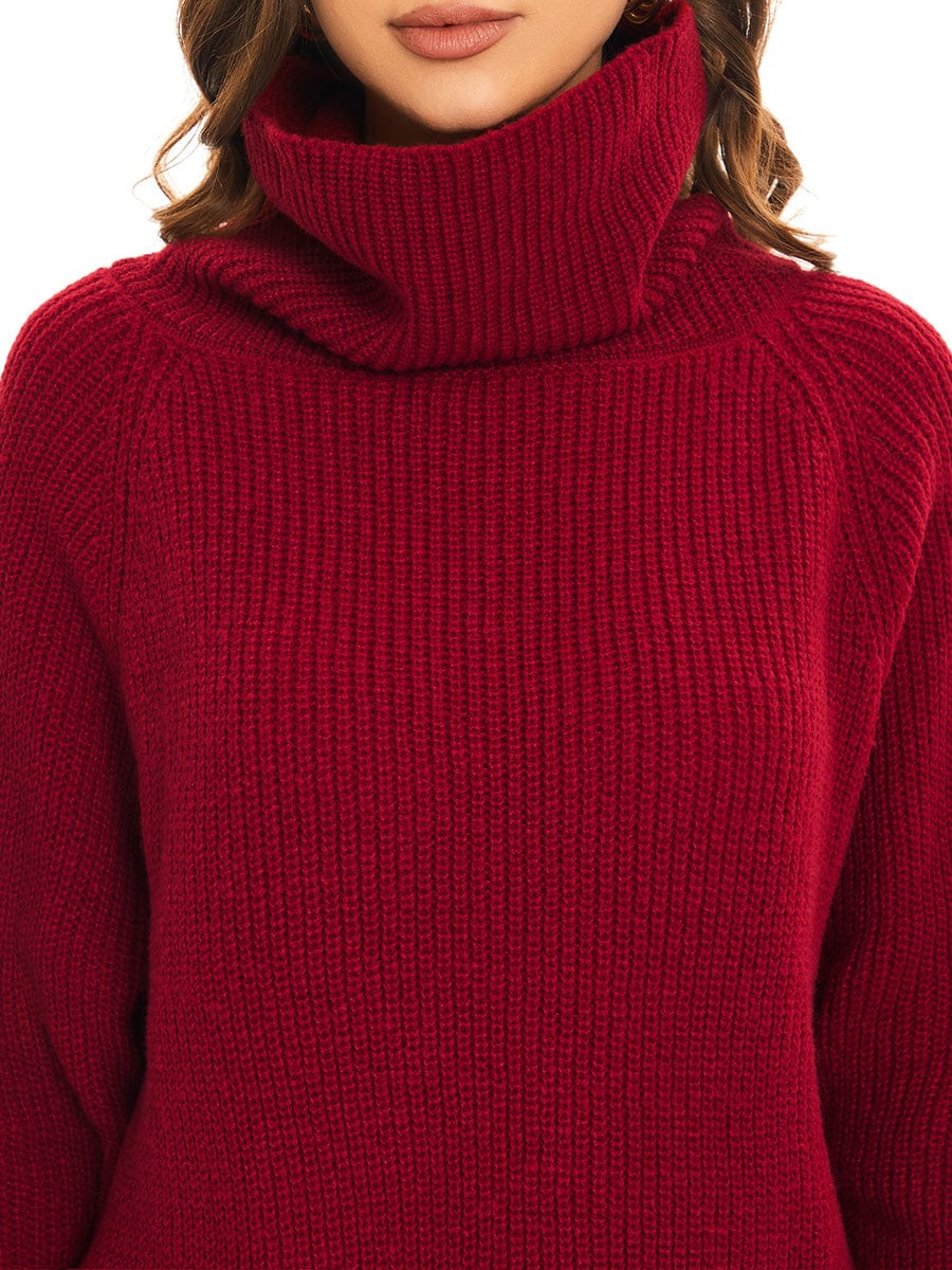 Long Sleeve Turtleneck Short Sweater Dress With Pocket
