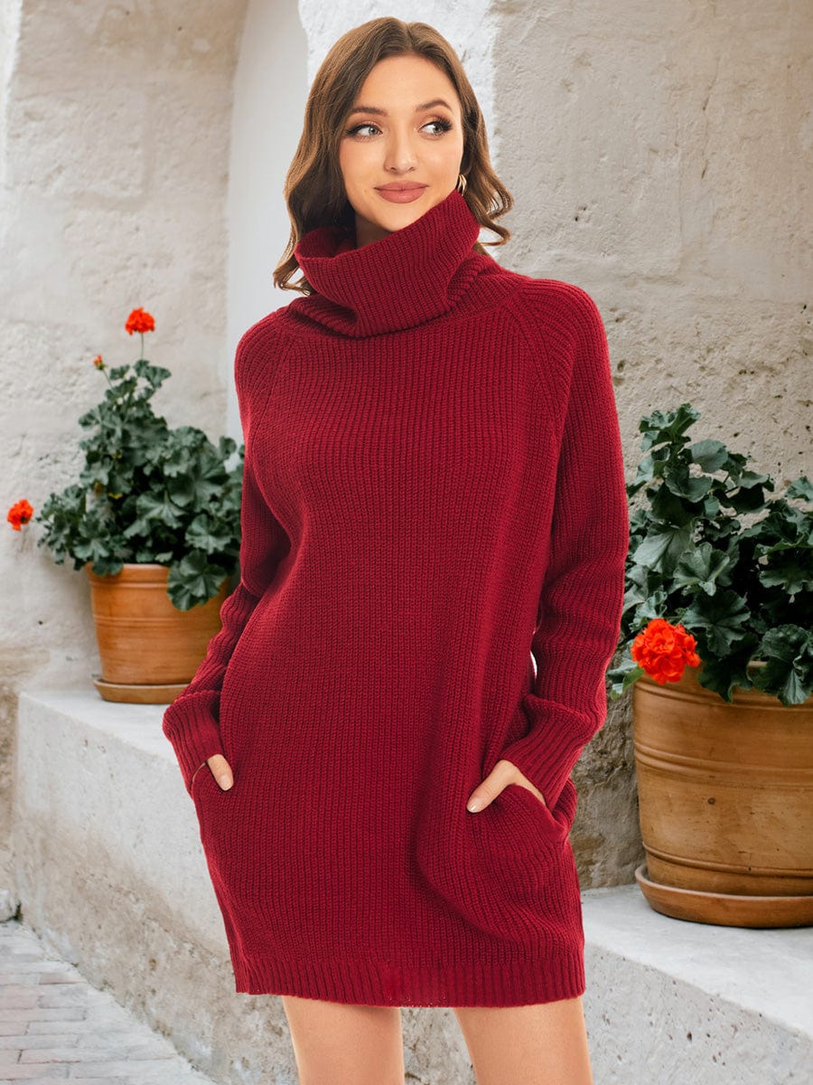 Long Sleeve Turtleneck Short Sweater Dress With Pocket