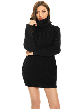 Long Sleeve Turtleneck Short Sweater Dress With Pocket