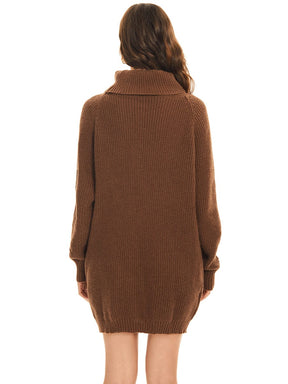 Long Sleeve Turtleneck Short Sweater Dress With Pocket